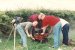 Contests &raquo; 1994 VHF NFD Skeffington